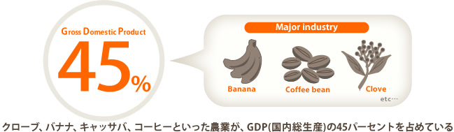 クローブ、バナナ、キャッサバ、コーヒーといった農業が、GDP(国内総生産)の45パーセントを占めている