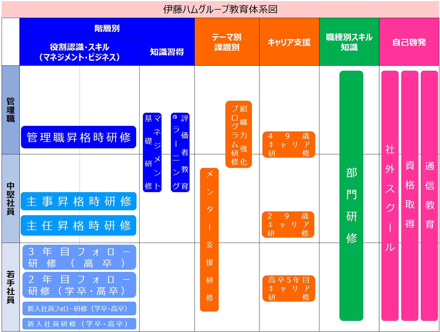 伊藤ハムグループ教育体系図