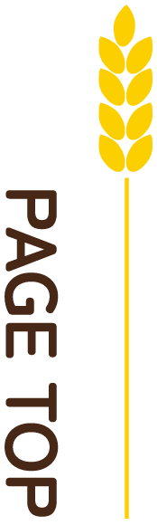 PAGE TOP