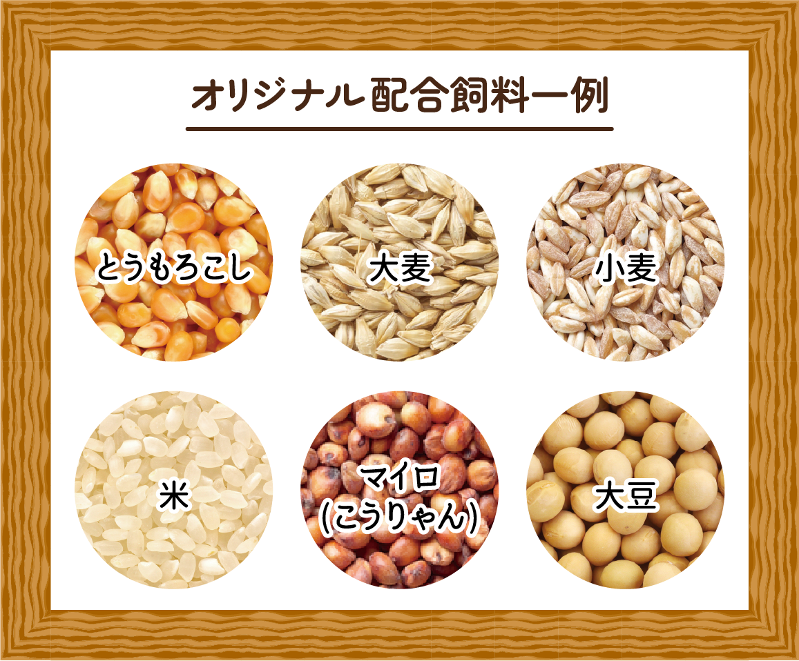 オリジナル配合飼料一例